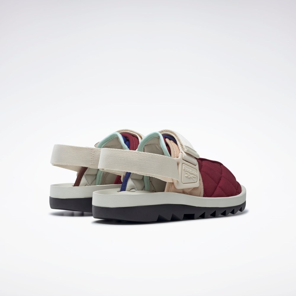 Reebok Beatnik Slides Sahara / Classic Cobalt / Classic Burgundy | HQ6250