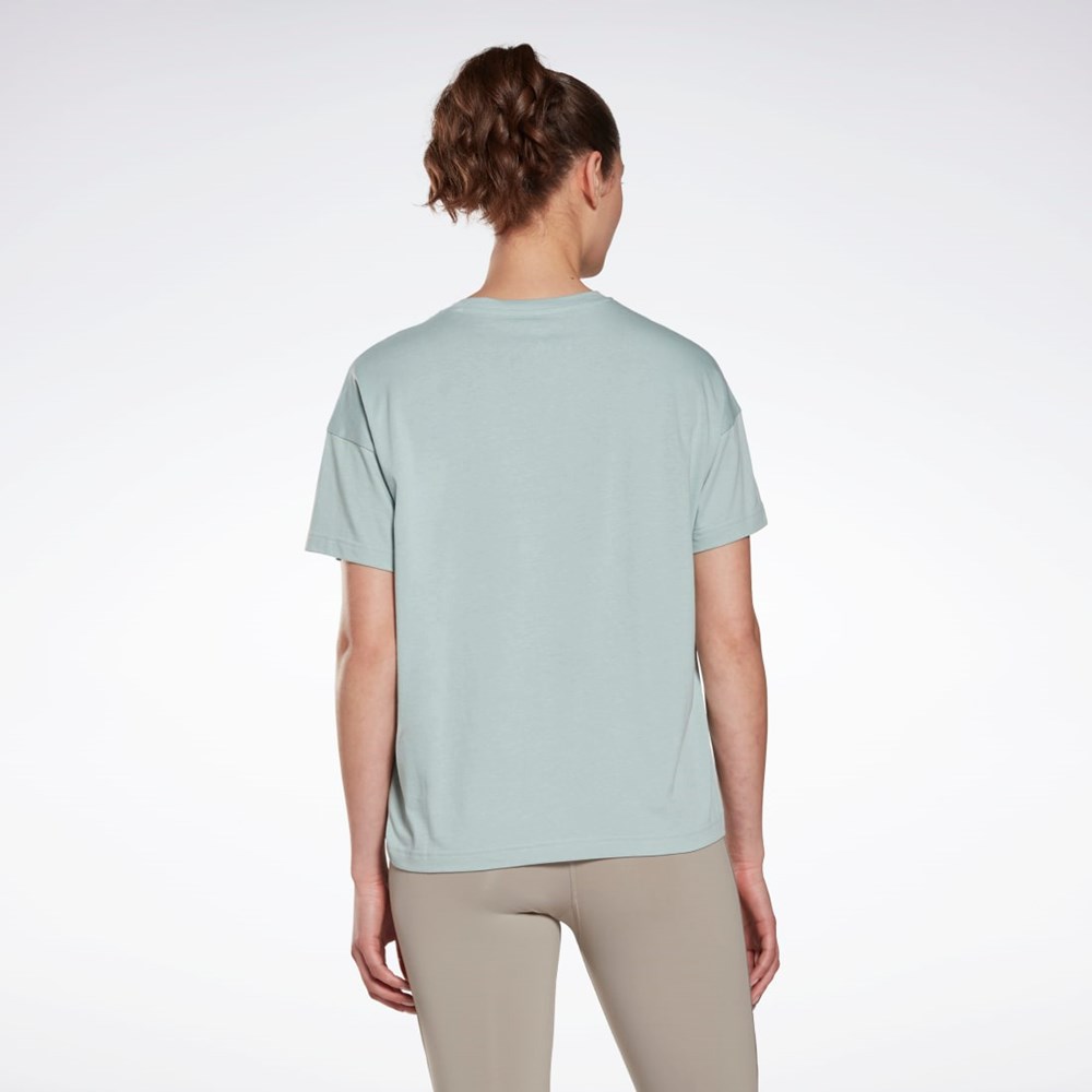 Reebok Brand T-Shirt Seaside Grey | HM5915