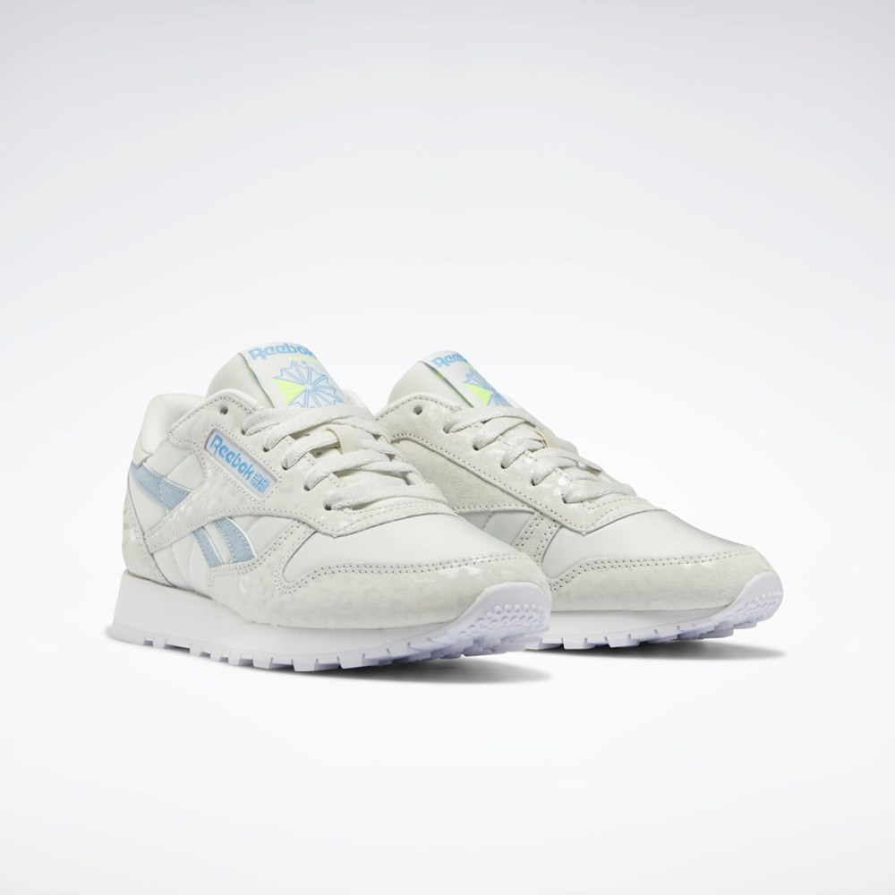 Reebok Classic Leather Shoes Pure Grey 1 / Ftwr White / Gable Grey | GZ3632