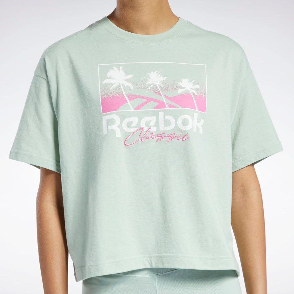 Reebok Classics Summer Graphic T-Shirt Light Sage | H58673