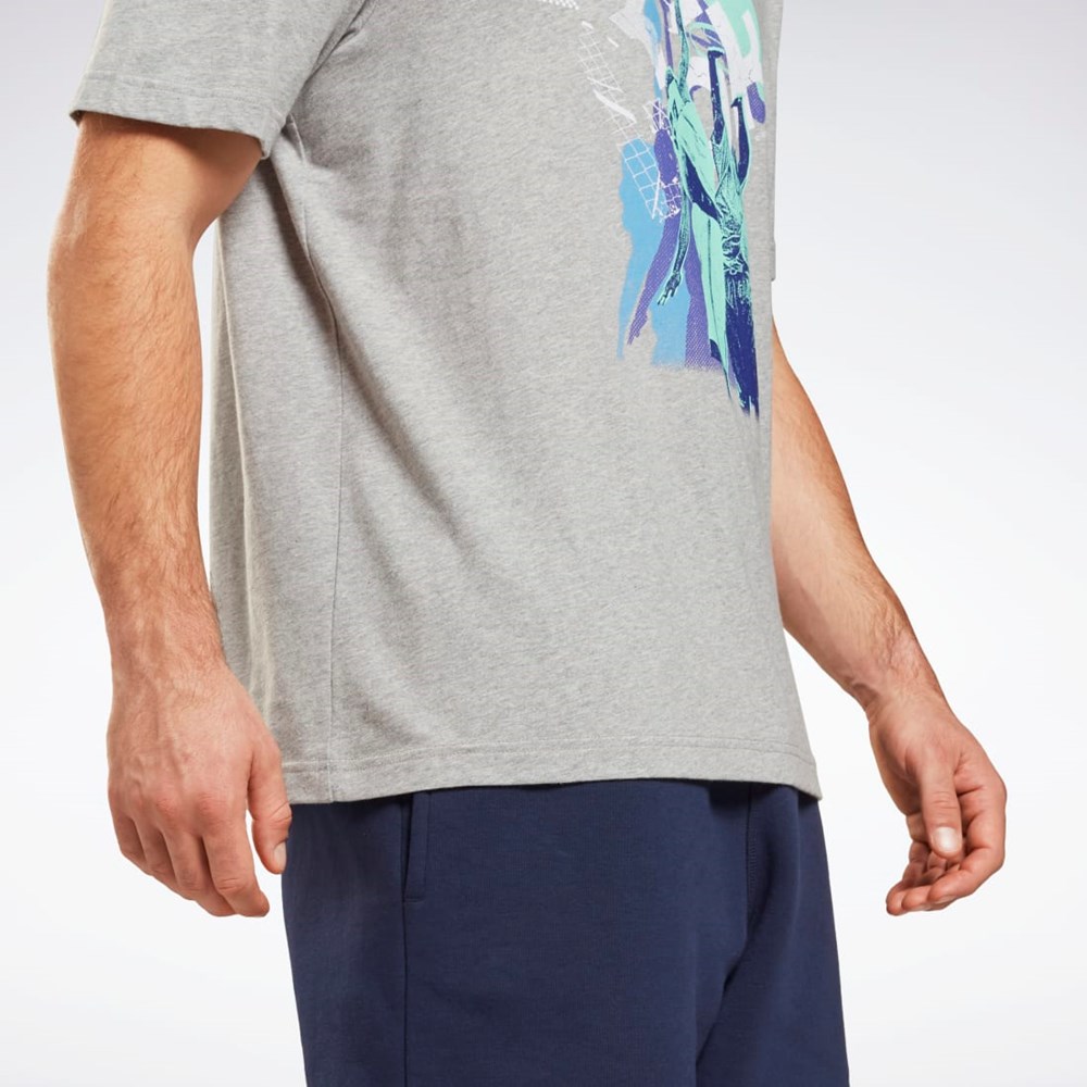 Reebok Graphic Series T-Shirt Medium Grey Heather | HB7257