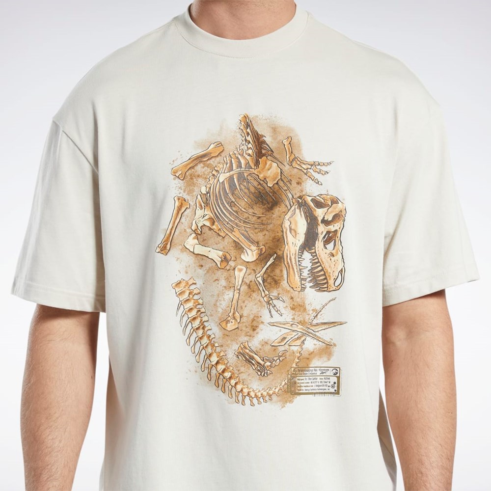 Reebok Jurassic World Fossil T-Shirt Stucco | HT3321