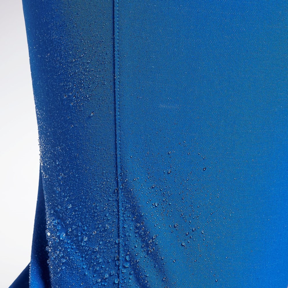 Reebok Performance Pants Vector Blue | HN0097