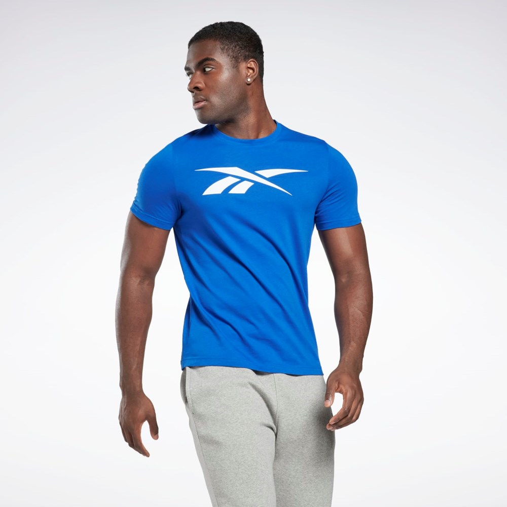 Reebok Reebok Graphic Series Vector T-Shirt Vector Blue | HI6295