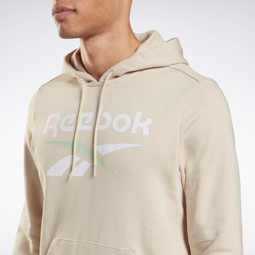 Reebok Reebok Identity Big Logo Hoodie Stucco | H54481