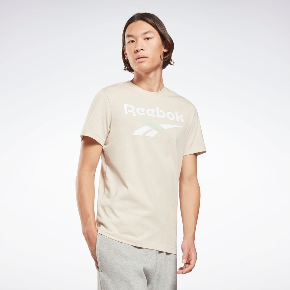 Reebok Reebok Identity Big Logo T-Shirt Stucco | HD4221