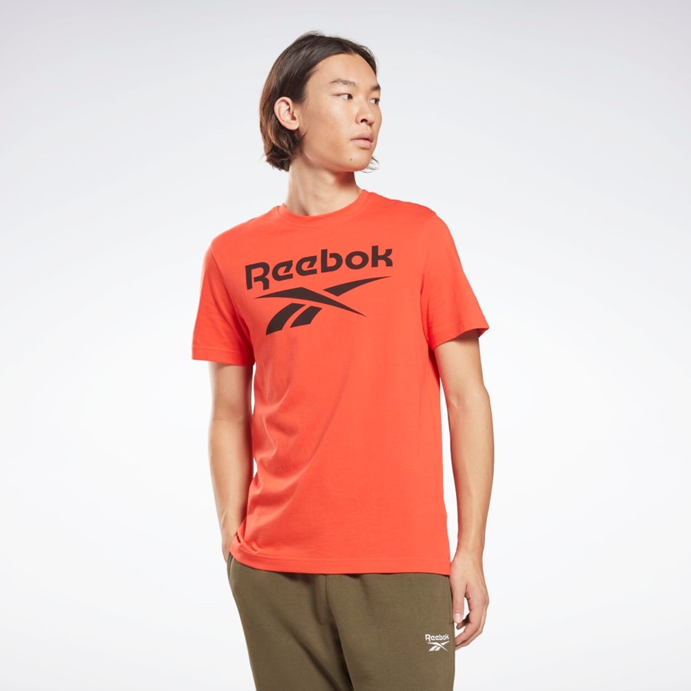 Reebok Reebok Identity Big Logo T-Shirt Dynamic Red | HF0772