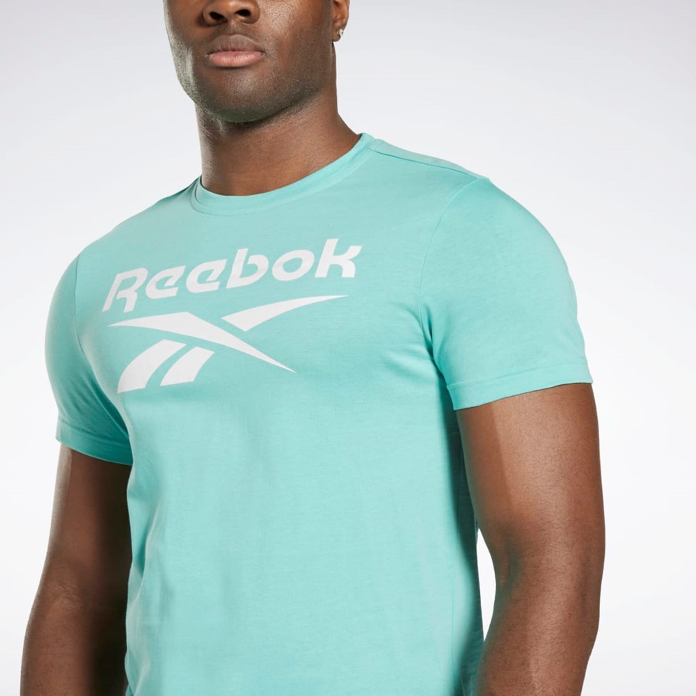 Reebok Reebok Identity Big Logo T-Shirt Semi Classic Teal | HI0657