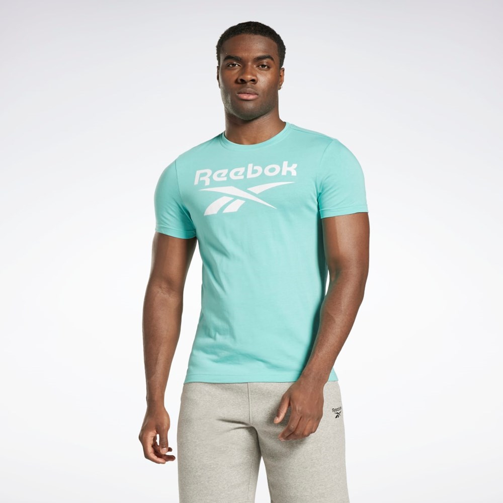 Reebok Reebok Identity Big Logo T-Shirt Semi Classic Teal | HI0657