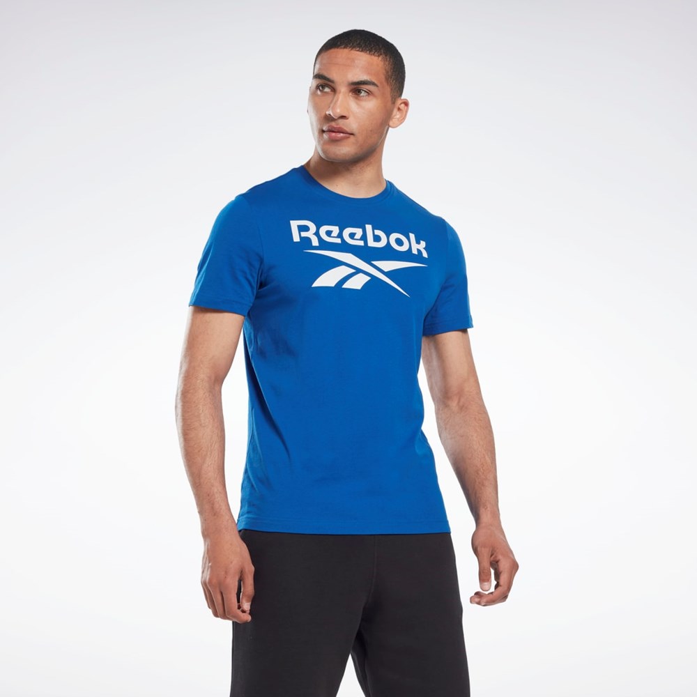 Reebok Reebok Identity Big Logo T-Shirt Vector Blue | HR8242