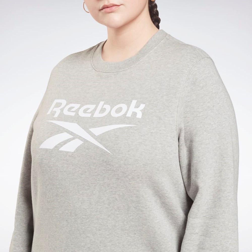 Reebok Reebok Identity Logo Fleece Crew Sweatshirt (Plus Size) Medium Grey Heather | GR9286