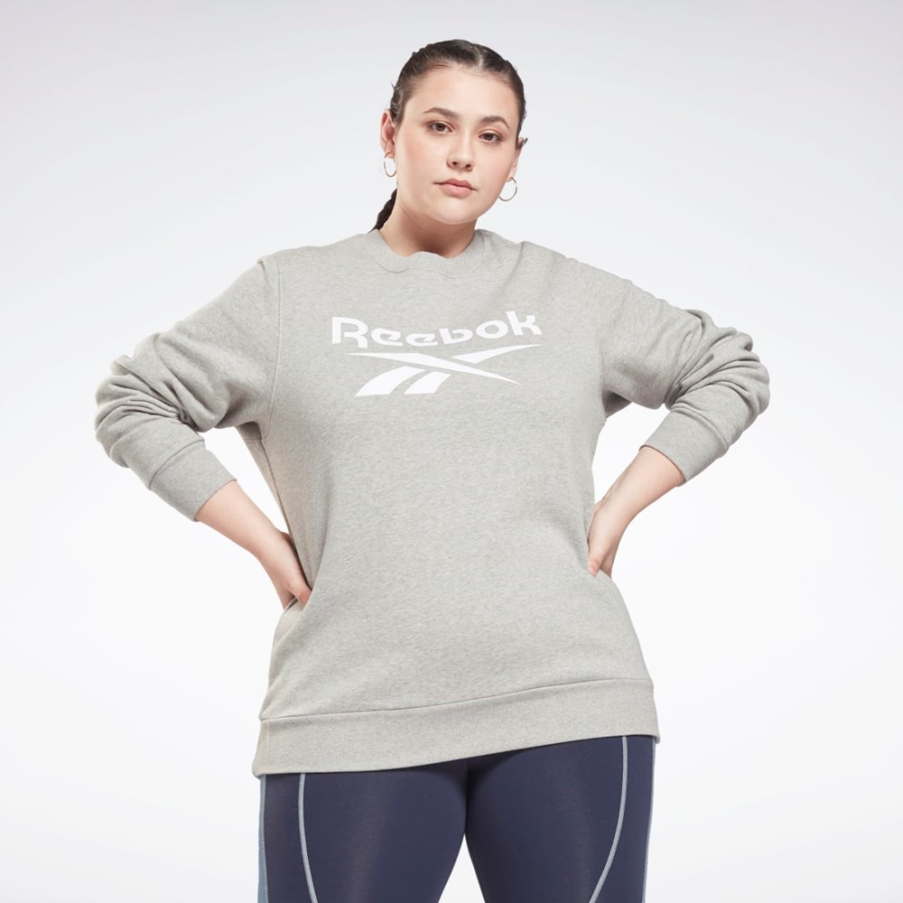 Reebok Reebok Identity Logo Fleece Crew Sweatshirt (Plus Size) Medium Grey Heather | GR9286