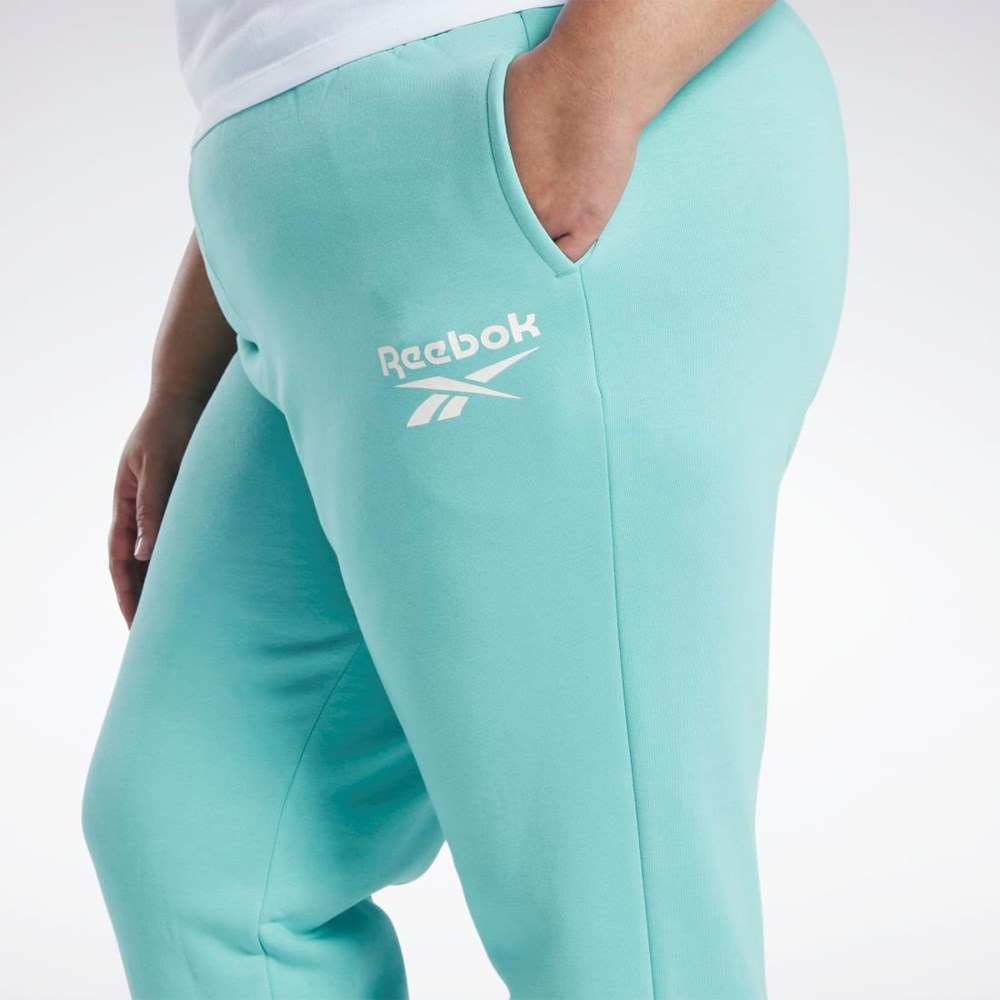 Reebok Reebok Identity Logo Fleece Joggers (Plus Size) Semi Classic Teal | HS0046