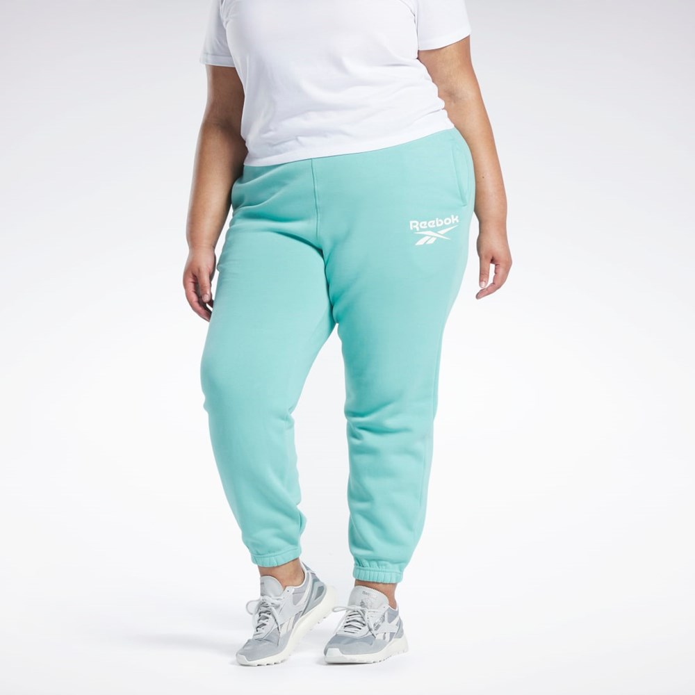 Reebok Reebok Identity Logo Fleece Joggers (Plus Size) Semi Classic Teal | HS0046