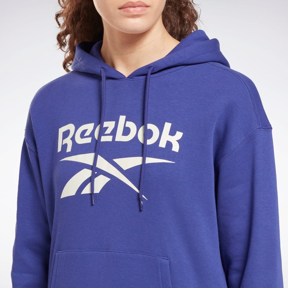 Reebok Reebok Identity Logo Fleece Pullover Hoodie Bold Purple | HI2939