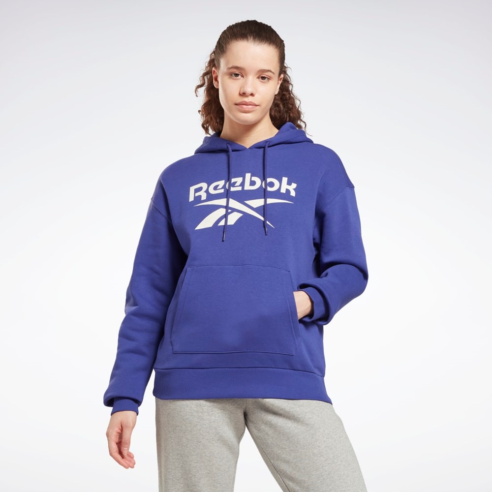 Reebok Reebok Identity Logo Fleece Pullover Hoodie Bold Purple | HI2939