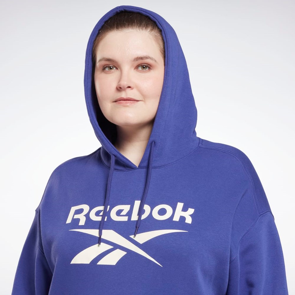 Reebok Reebok Identity Logo Fleece Pullover Hoodie (Plus Size) Bold Purple | HN4372