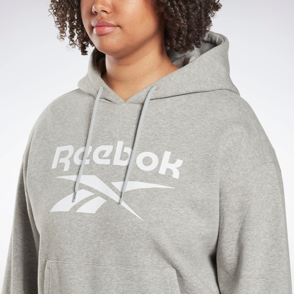 Reebok Reebok Identity Logo Fleece Pullover Hoodie (Plus Size) Medium Grey Heather | HT5854