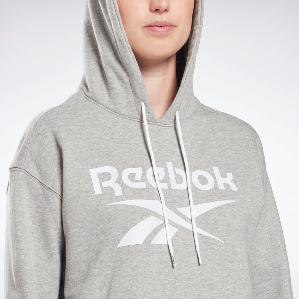 Reebok Reebok Identity Logo French Terry Hoodie Medium Grey Heather / White / White | HB2294