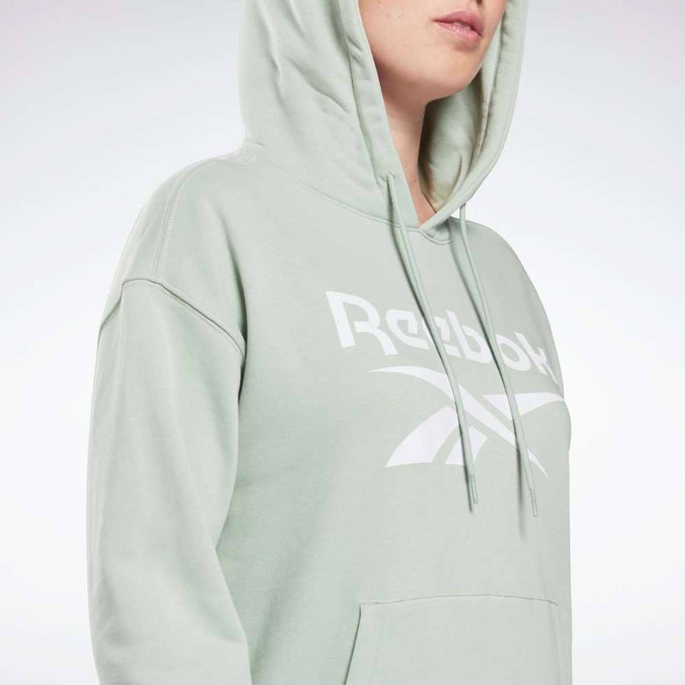 Reebok Reebok Identity Logo French Terry Hoodie Light Sage | HB2295