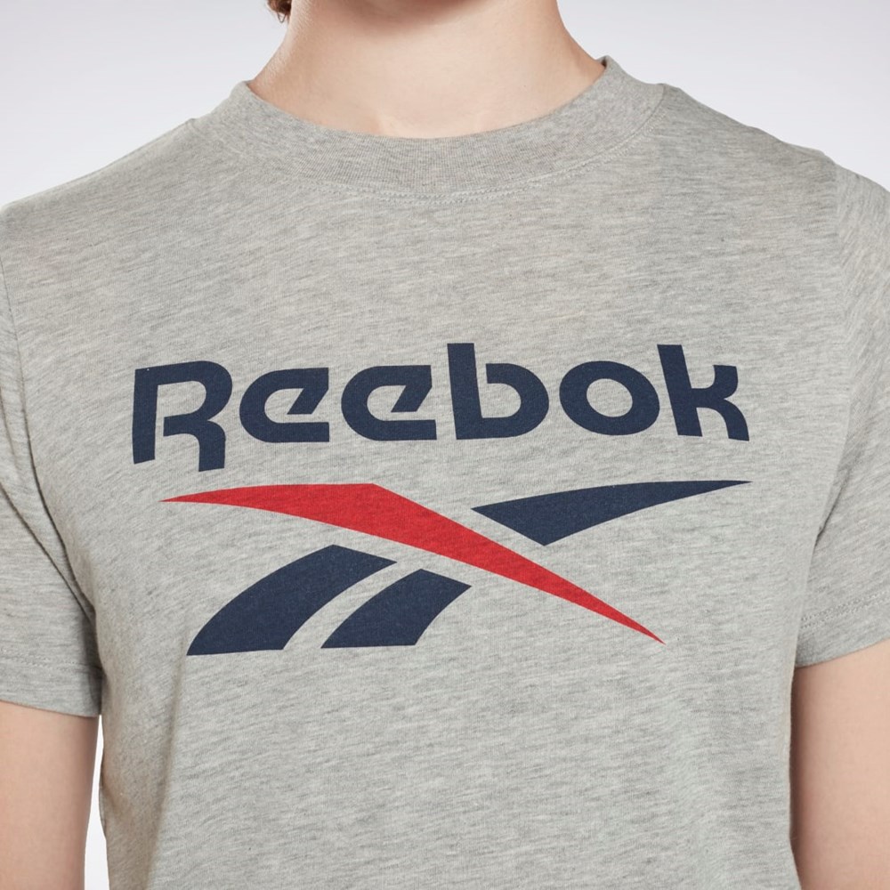 Reebok Reebok Identity Logo T-Shirt Medium Grey Heather | GI6707