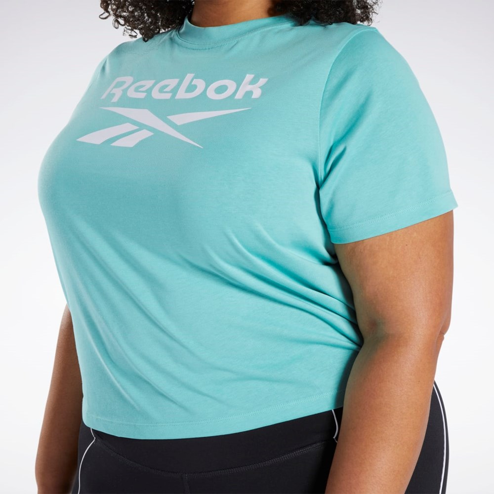 Reebok Reebok Identity T-Shirt (Plus Size) Semi Classic Teal | HS0054