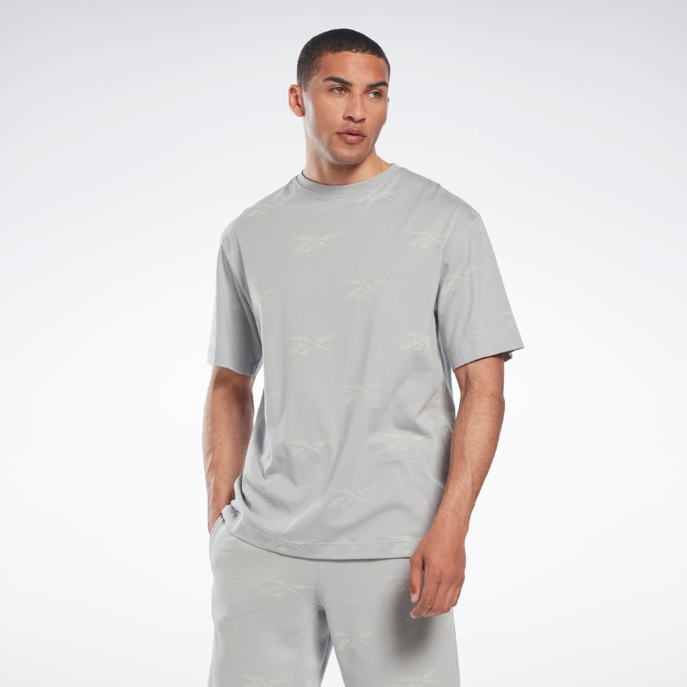 Reebok Reebok Identity Vector T-Shirt Pure Grey 3 | HN6886