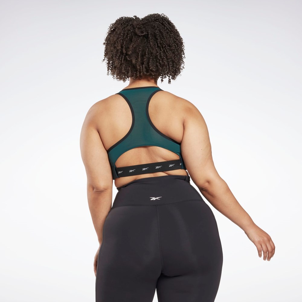 Reebok Reebok Lux Vector Racer Sports Bra (Plus Size) Forest Green | HL4330