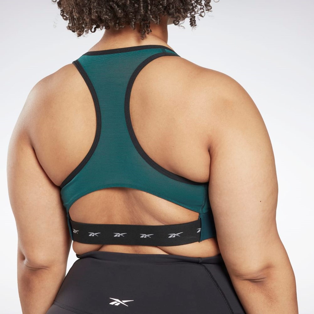 Reebok Reebok Lux Vector Racer Sports Bra (Plus Size) Forest Green | HL4330