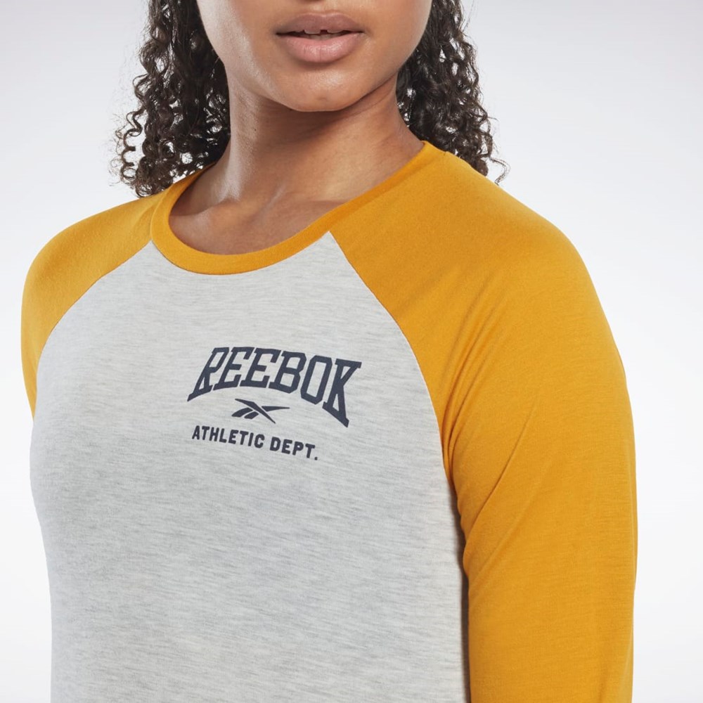 Reebok Workout Ready Baseball T-Shirt Light Grey Heather | HI6896