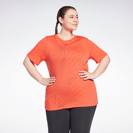 Reebok Burnout T-Shirt (Plus Size) Dynamic Red | HB2046