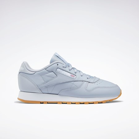 Reebok Classic Leather Shoes Cold Grey 2 / Cold Grey 2 / Ftwr White | GY6812