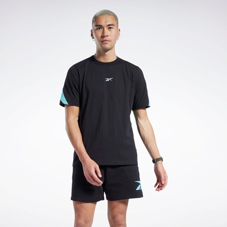 Reebok Classics Brand Proud T-Shirt Black | HI4599