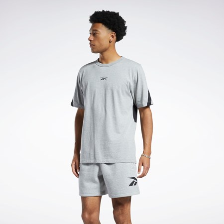 Reebok Classics Brand Proud T-Shirt Medium Grey Heather | HS6845