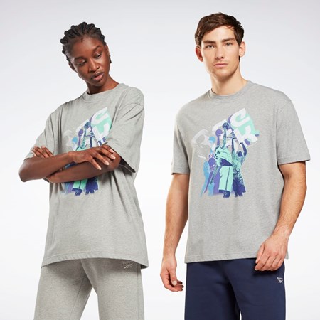 Reebok Graphic Series T-Shirt Medium Grey Heather | HB7257