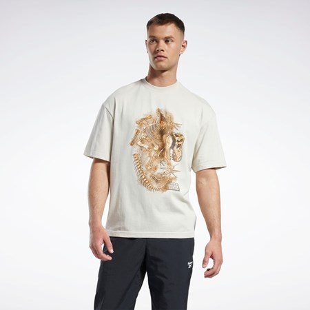 Reebok Jurassic World Fossil T-Shirt Stucco | HT3321