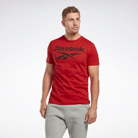 Reebok Reebok Identity Big Logo T-Shirt Vector Red | HI0653