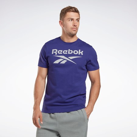 Reebok Reebok Identity Big Logo T-Shirt Bold Purple | HI0660