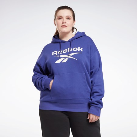 Reebok Reebok Identity Logo Fleece Pullover Hoodie (Plus Size) Bold Purple | HN4372