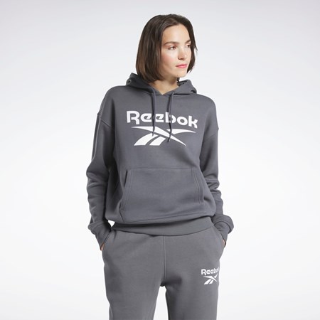 Reebok Reebok Identity Logo Fleece Pullover Hoodie Pure Grey 7 | HS0104